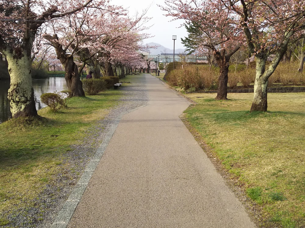 鶴岡公園園路等整備工事 鶴岡建設株式会社